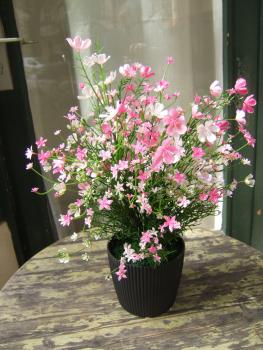 Künstliche Gysophila Busch rosa UV